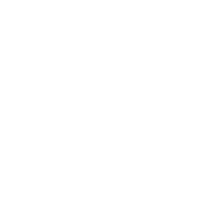 Profilo N