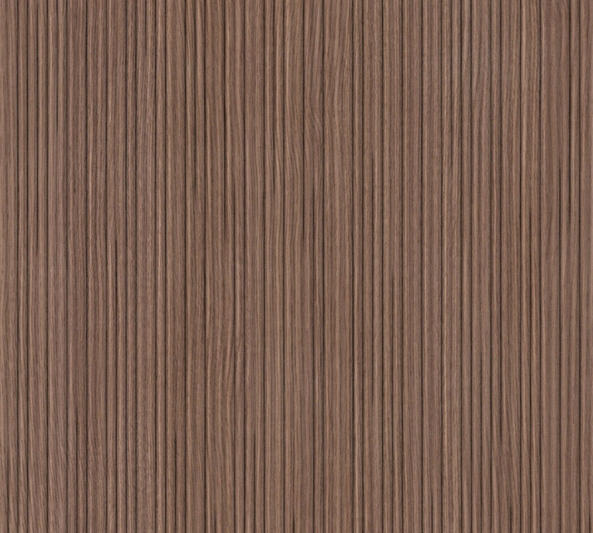 Scuro 110/24 - Top Linea