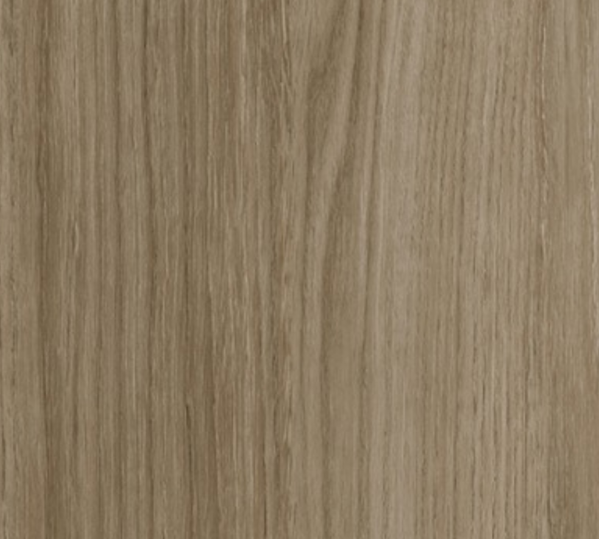Pinot Grigio 8102 - Top Linea