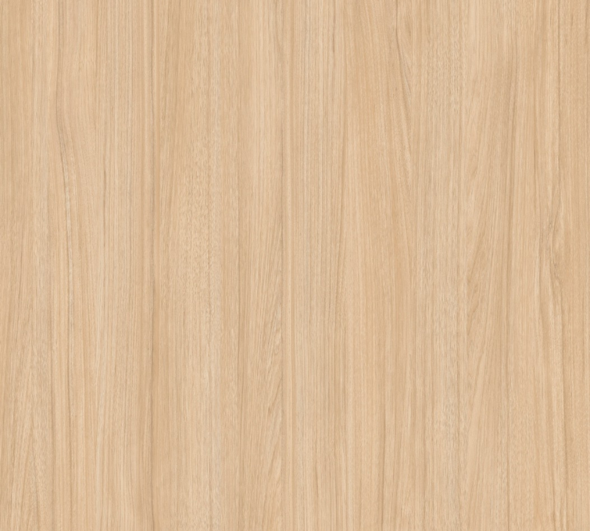 Sauternes 299 - Top Linea